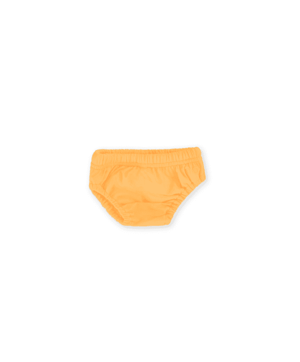 Dandelion children's underwear isolated on a white background.